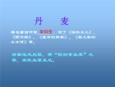 《丰收之歌》PPT课件免费下载