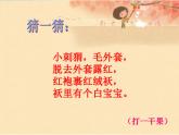 栗子大丰收PPT课件免费下载
