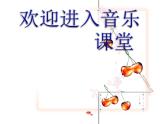 小学音乐雷鸣电闪波尔卡-课件-(1)ppt