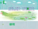 小学音乐柳树姑娘-课件-(8)ppt (1)