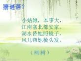小学音乐柳树姑娘-课件-(4)ppt (1)