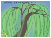 小学音乐柳树姑娘-课件ppt (1)