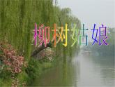 小学音乐柳树姑娘-课件-(2)ppt (1)