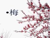 小学音乐梅花-课件-(5)ppt