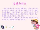 小学音乐妈妈格桑拉-课件--(2)ppt