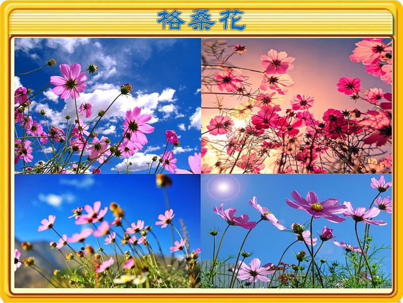 小学音乐妈妈格桑拉-课件--(6)ppt07