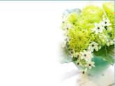 小學(xué)音樂每當(dāng)我走過老師窗前-課件-(2)ppt