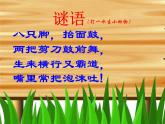 小學(xué)音樂螃蟹歌-課件-(5)ppt
