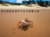 小學(xué)音樂螃蟹歌-課件-(4)ppt