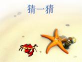 小學(xué)音樂螃蟹歌-課件-(9)ppt