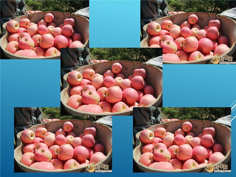 小学音乐苹果丰收-课件-(2)ppt08