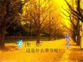 小学音乐如今家乡山连山-课件-(4)ppt