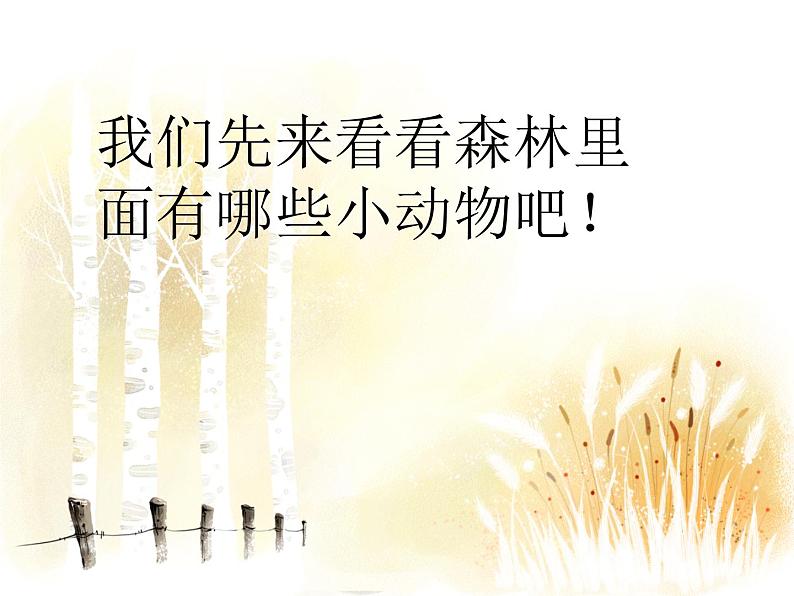 森林的歌声PPT课件免费下载04