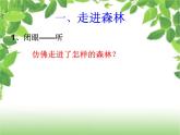 小学音乐森林水车-课件-(1)ppt