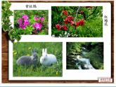 小学音乐山谷静悄悄-课件-(2)ppt