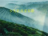 小学音乐少先队员采茶歌-课件-(1)ppt
