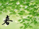 小學音樂四季童趣-課件-(6)ppt