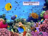 小学音乐水族馆-课件ppt