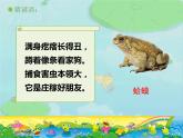 小學音樂數(shù)蛤蟆-課件-(3)ppt