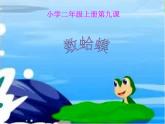 小學音樂數(shù)蛤蟆-課件-(9)ppt