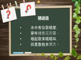小學音樂數(shù)蛤蟆-課件-(10)ppt
