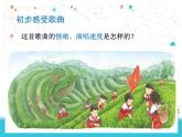 小学音乐少先队员采茶歌-课件-(3)ppt