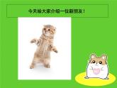 小学音乐跳圆舞曲的小猫-课件1ppt