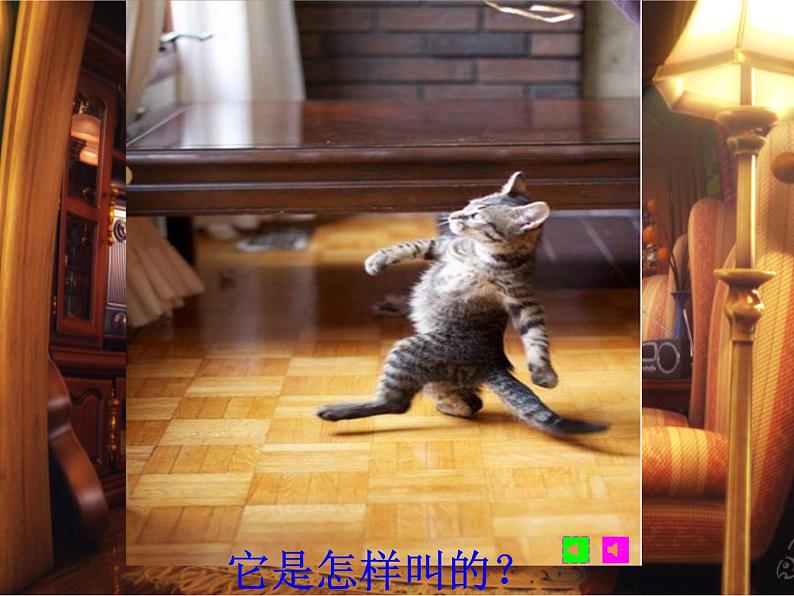 小学音乐跳圆舞曲的小猫-课件-(2)ppt第4页