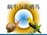 小学音乐蜗牛与黄鹂鸟-课件-(5)ppt