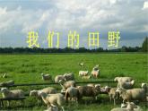 小學(xué)音樂我們的田野-課件-(5)ppt