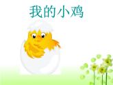 小學(xué)音樂我的小雞-課件1ppt