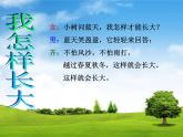 小学音乐我怎样长大-课件-(1)ppt课件