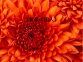 小學(xué)音樂我是中國人-課件-(2)ppt課件