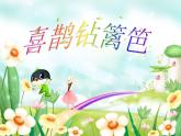 小学音乐喜鹊钻篱笆-课件-(6)ppt课件