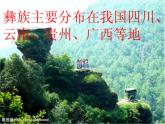 小学音乐喜鹊钻篱笆-课件-(1)ppt课件