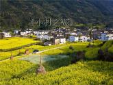 小學(xué)音樂小村之戀-課件ppt課件