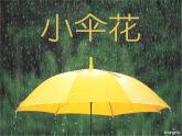 小学音乐小伞花-课件-(1)ppt课件