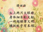 小學(xué)音樂(lè)小蜻蜓-課件-(4)ppt課件