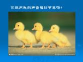 小学音乐小青蛙找家-课件--(4)ppt课件