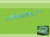 小学音乐小青蛙找家-课件3ppt课件