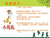 小螞蟻PPT課件免費下載