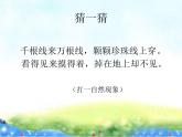 小学音乐小伞花-课件-(3)ppt课件