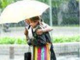 小伞花PPT课件免费下载