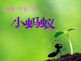 小學音樂小螞蟻-課件-(5)ppt課件