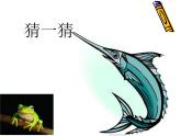 小学音乐小青蛙合唱-课件ppt课件