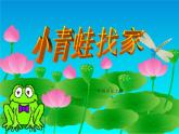 小学音乐小青蛙找家PPTppt课件