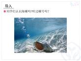 小学音乐小螺号-课件-(7)ppt课件