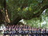 小學(xué)音樂(lè)小山羊-課件ppt課件