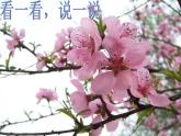 小学音乐小雨沙沙沙-课件-(4)ppt课件