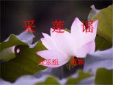 小学音乐采莲谣ppt课件